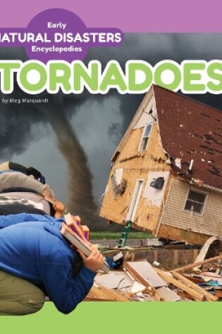 Cover of Tornadoes