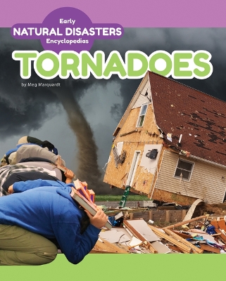 Book cover for Tornadoes