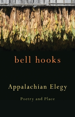 Book cover for Appalachian Elegy