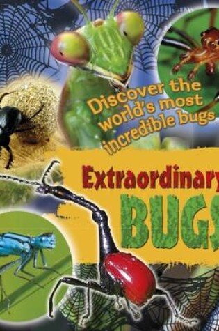 Cover of Extraordinary Bugs