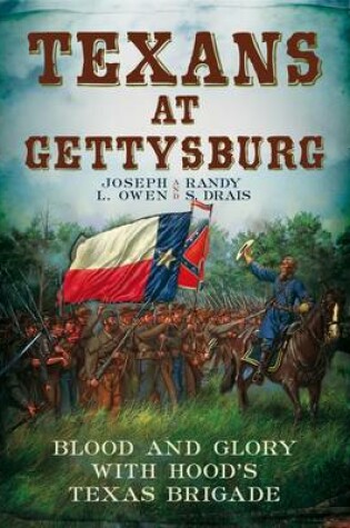 Cover of Texans at Gettysburg