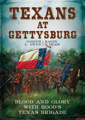 Cover of Texans at Gettysburg