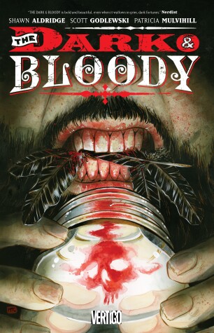 Book cover for The Dark & The Bloody Vol. 1