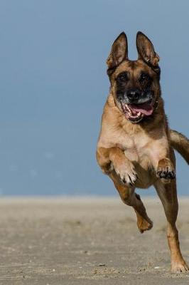 Book cover for Belgian Shepherd Dog Malinois Leaping High Journal