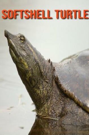 Cover of Softshell Turtle