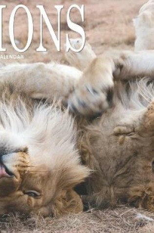 Cover of Lions