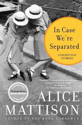 Book cover for In Case We're Separated