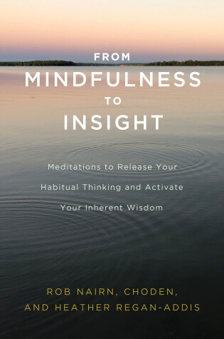 Cover of From Mindfulness to Insight