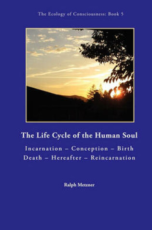 Cover of The Life Cycle of the Human Soul Incarnation - Conception - Birth - Death - Hererafter - Reincarnation