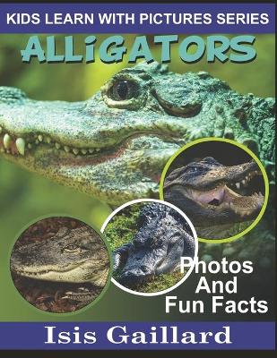 Book cover for Alligators