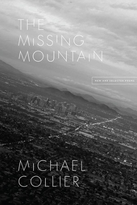 Book cover for The Missing Mountain