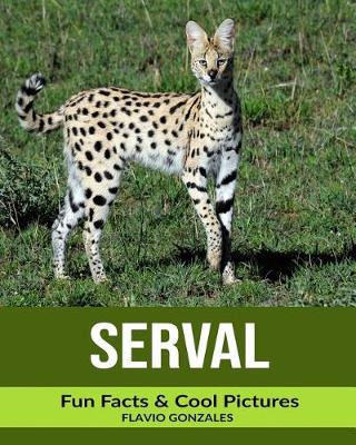 Book cover for Serval