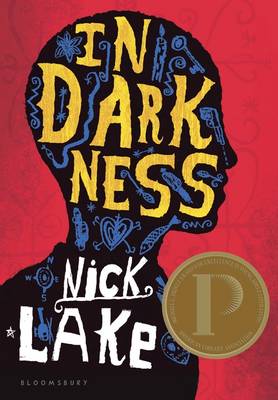 Book cover for In Darkness