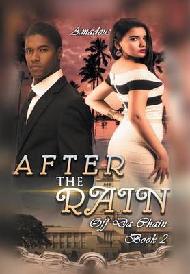 Book cover for After The Rain