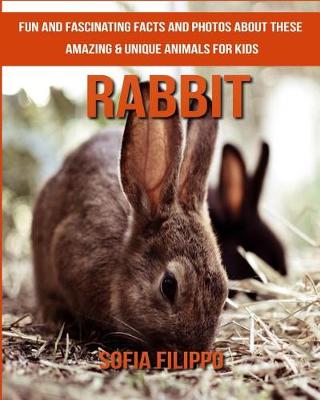 Book cover for Rabbit