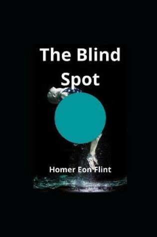Cover of The Blind Spot illustrated