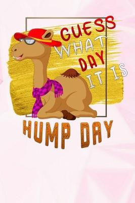 Book cover for Guess What Day It Is Hump Day