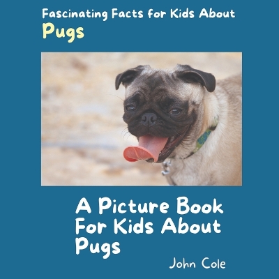 Book cover for A Picture Book for Kids About Pugs