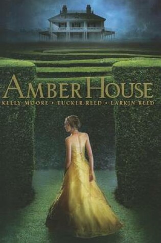 Cover of Amber House