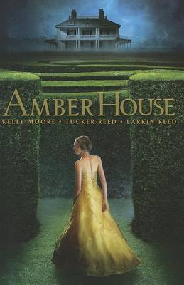 Cover of Amber House