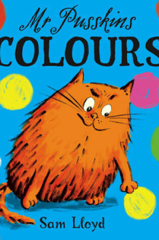 Cover of Mr Pusskins Colours