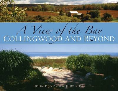 Book cover for A View of the Bay