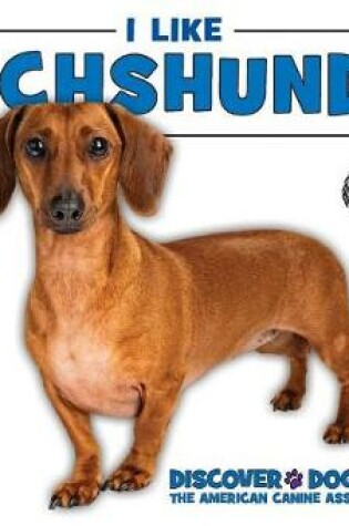 Cover of I Like Dachshunds!