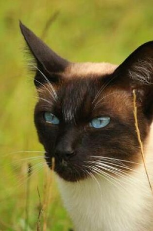 Cover of Seal Point Siamese Cat Portrait Journal