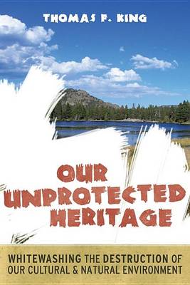 Book cover for Our Unprotected Heritage