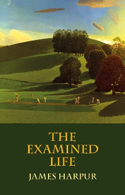 Book cover for The Examined Life