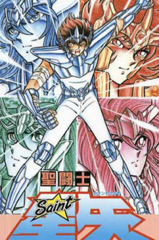 Cover of Knights of the Zodiac (Saint Seiya), Vol. 19