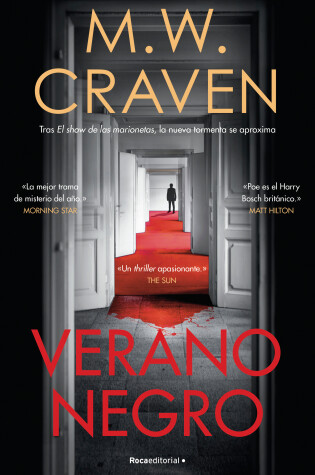 Cover of Verano negro / Black Summer