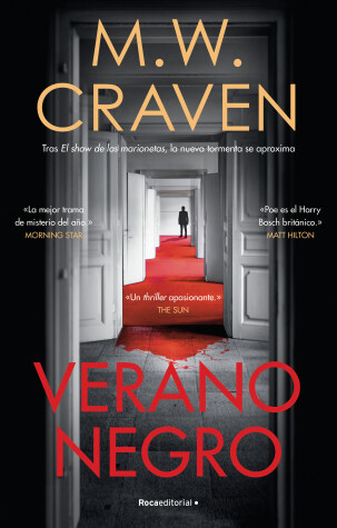 Book cover for Verano negro / Black Summer