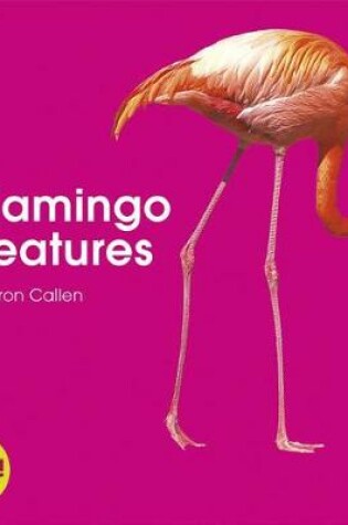 Cover of Flamingo Features