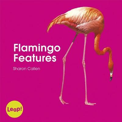 Cover of Flamingo Features