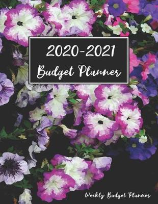 Book cover for 2020 - 2021 Weekly Budget Planner