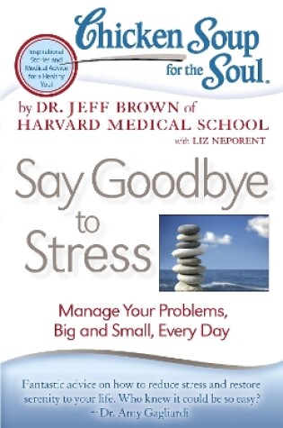 Cover of Chicken Soup for the Soul: Say Goodbye to Stress