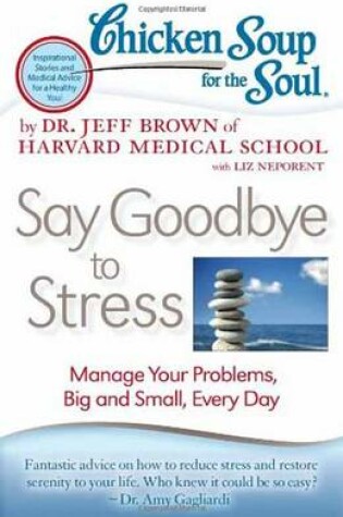 Cover of Chicken Soup for the Soul: Say Goodbye to Stress