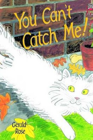 Cover of You Can't Catch Me India edition