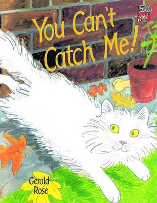 Book cover for You Can't Catch Me India edition