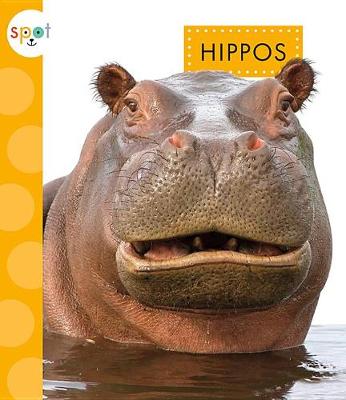 Cover of Hippos