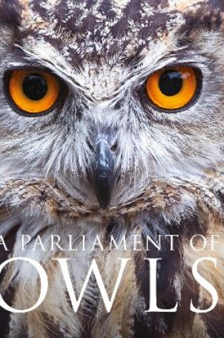 Cover of A Parliament of Owls