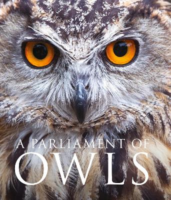 Book cover for A Parliament of Owls