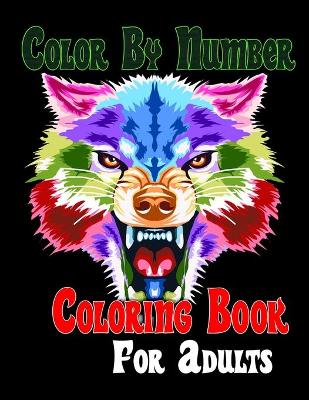 Book cover for Color By Number Coloring Book For Adults