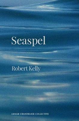 Book cover for Seaspel