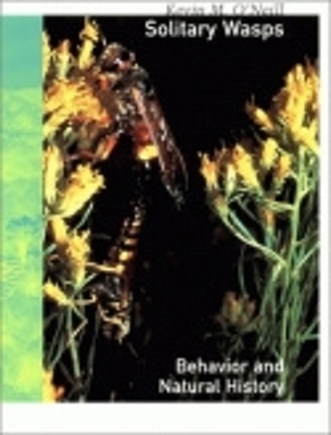 Book cover for Solitary Wasps