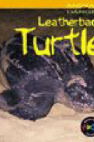 Cover of Animals in Danger: Leatherback Turtle (Cased)