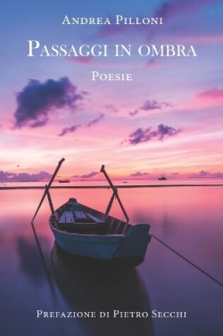 Cover of Passaggi in ombra.