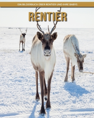 Cover of Rentier