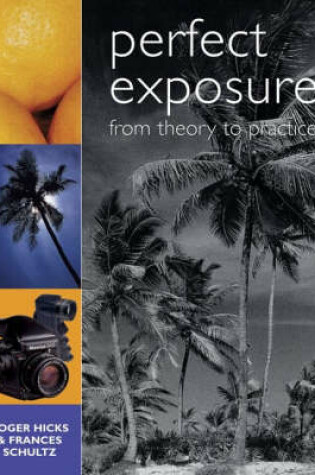 Cover of Perfect Exposure